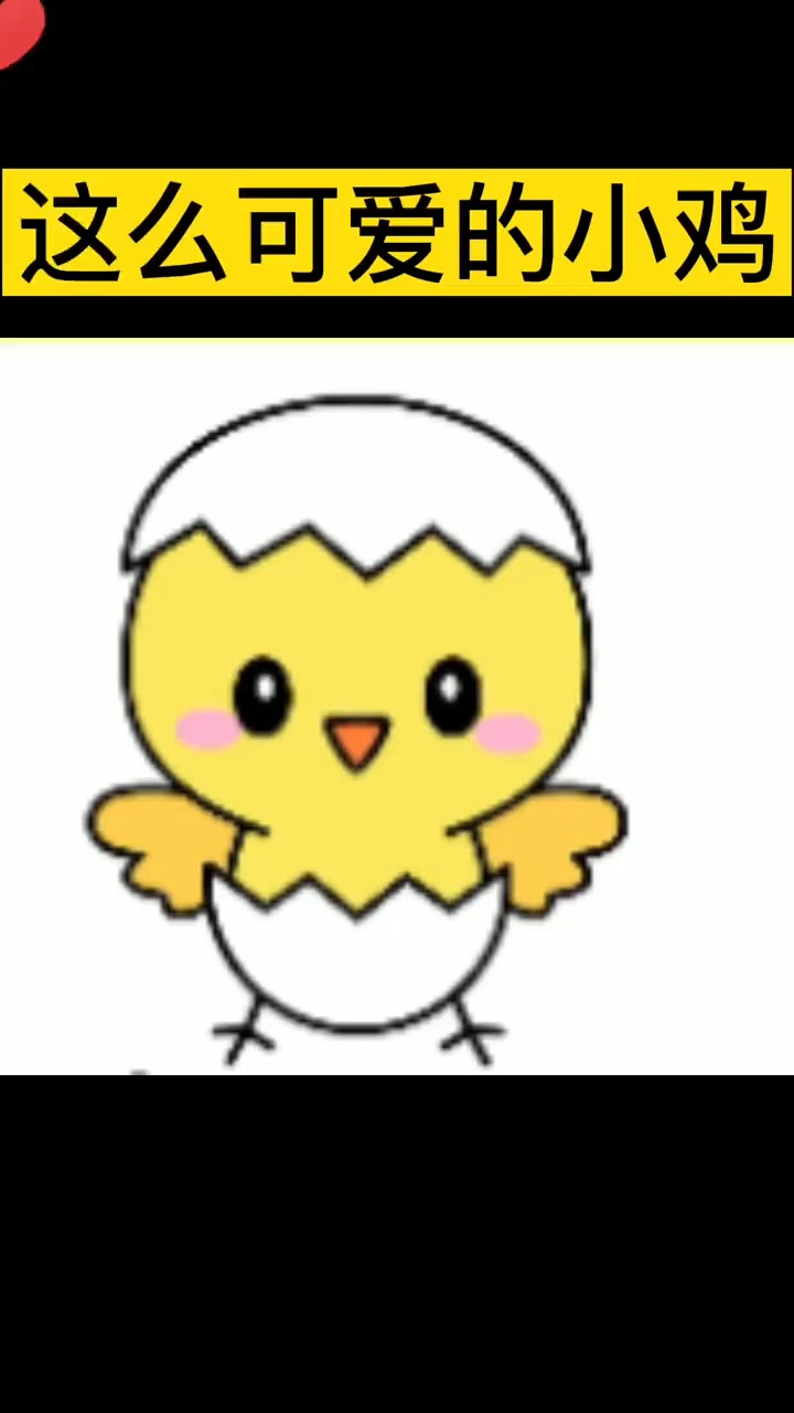 这么可爱的小鸡,看完不会你来找我!