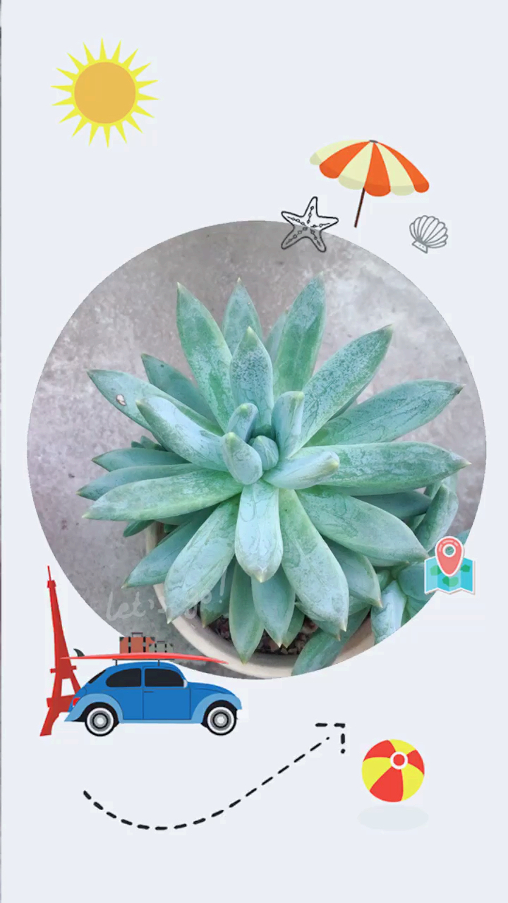 #中秋#从没变过颜色