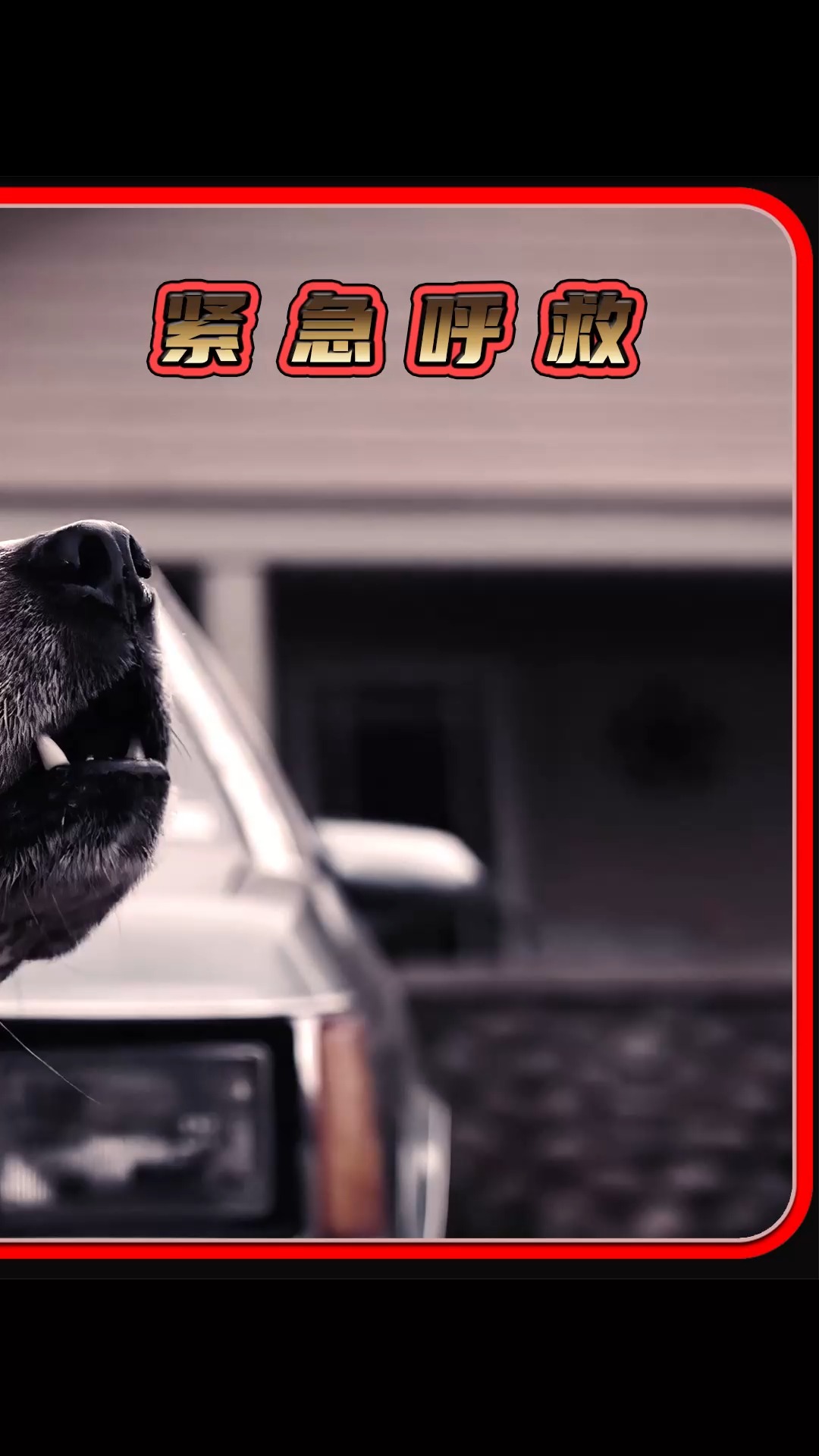 #电影解说#公鸡中的战斗机,连消防员都被耍的团团转