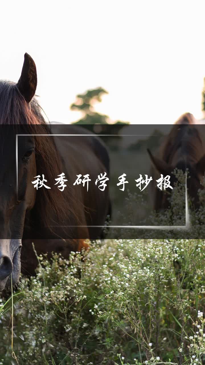 秋季研学手抄报