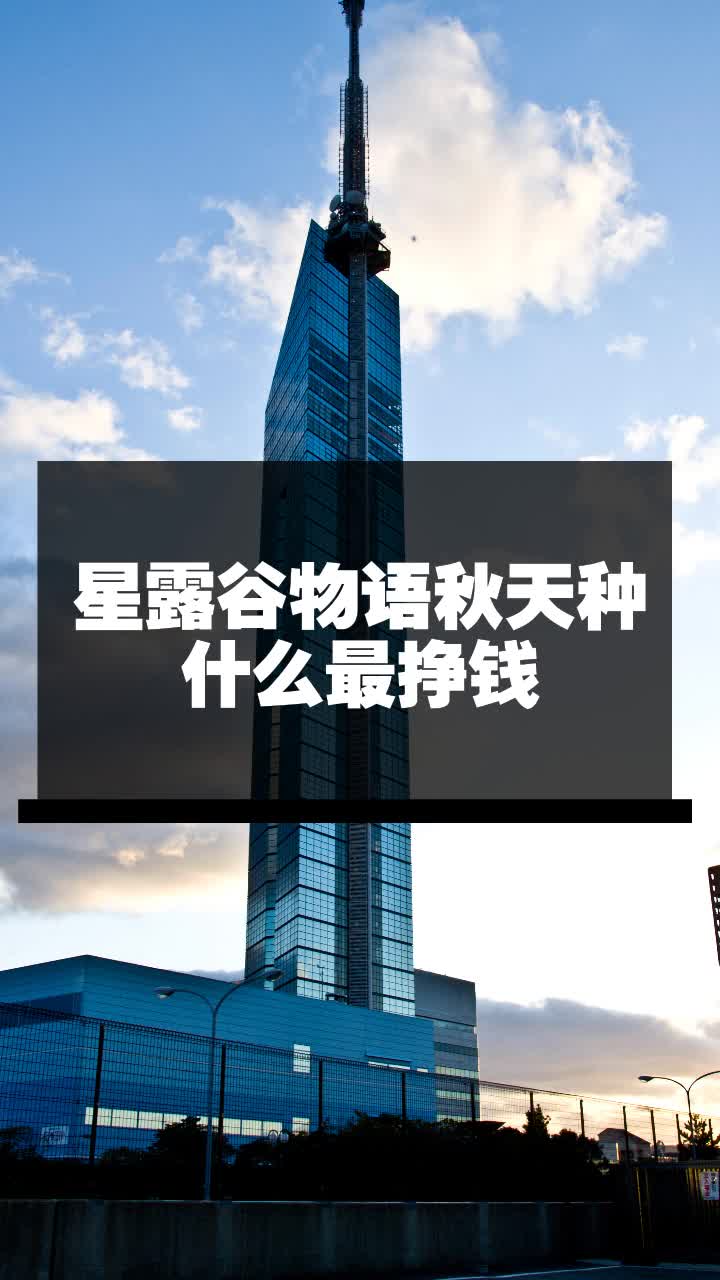 星露谷物语秋天种什么最挣钱