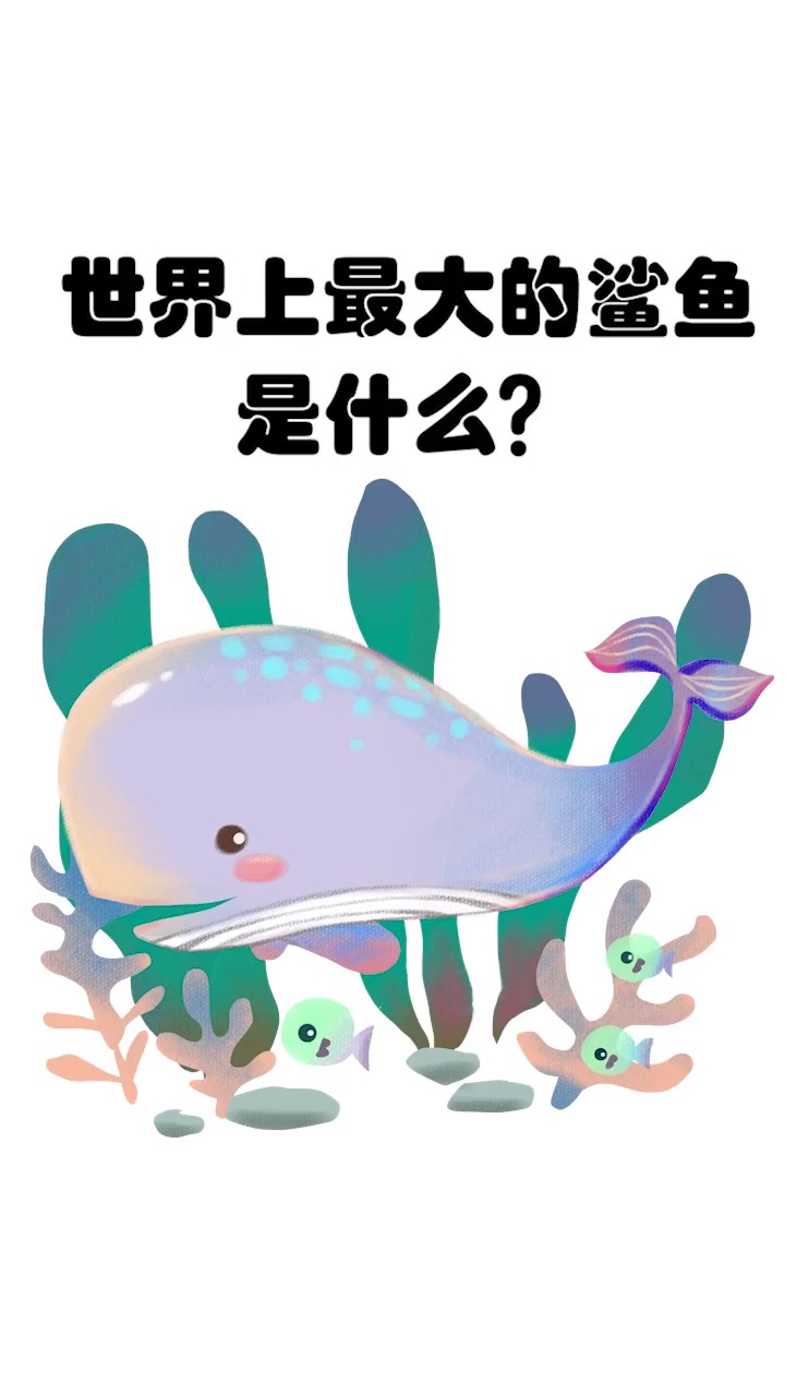 #全民涨知识#世界上最大的鲨鱼是什么,你们见过最大的鲨鱼是什么样的