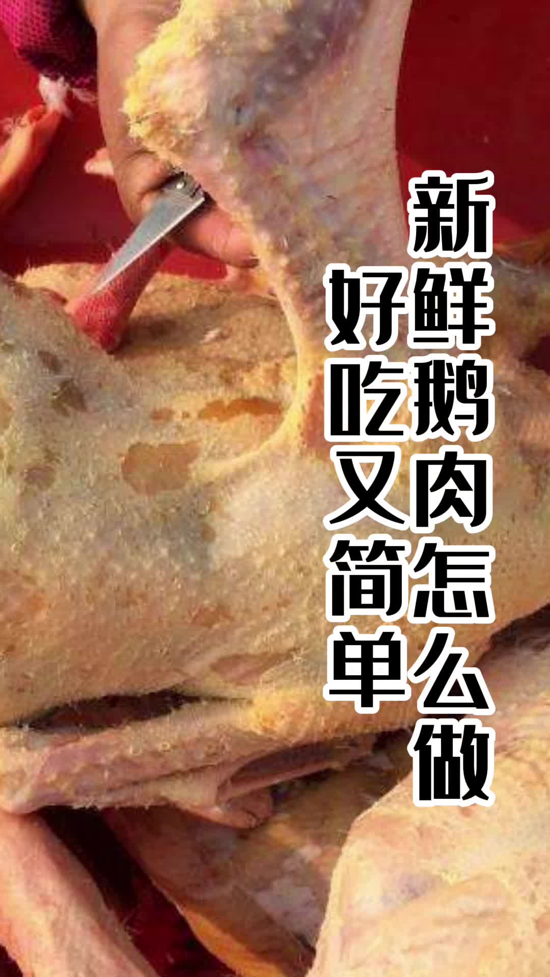 新鲜鹅肉怎么做好吃