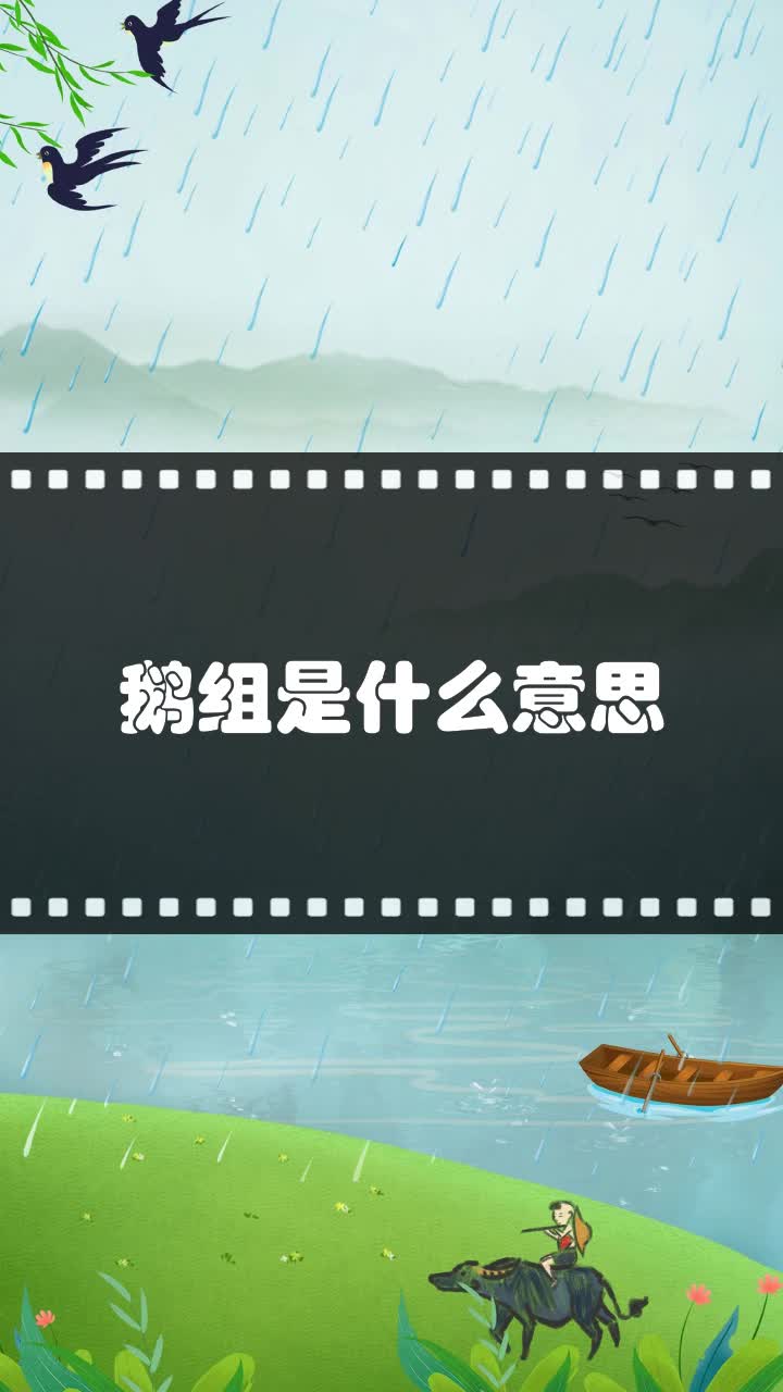 鹅组是什么意思