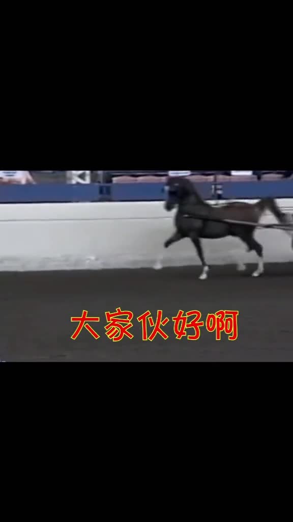 求皇家翻译,东北话“大列巴”是啥玩意?谁知道告诉我