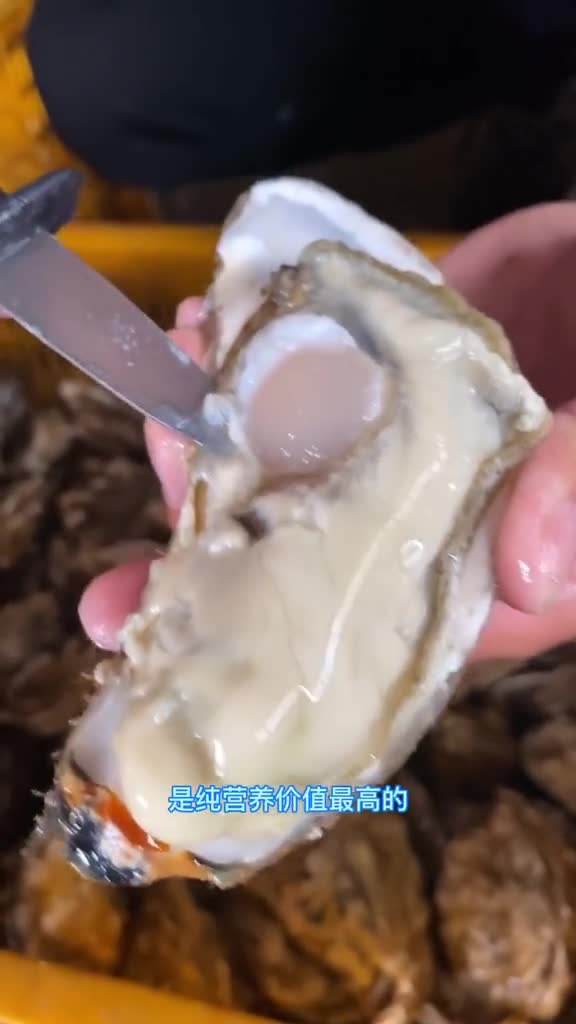 你真的会吃生蚝么,我来教你