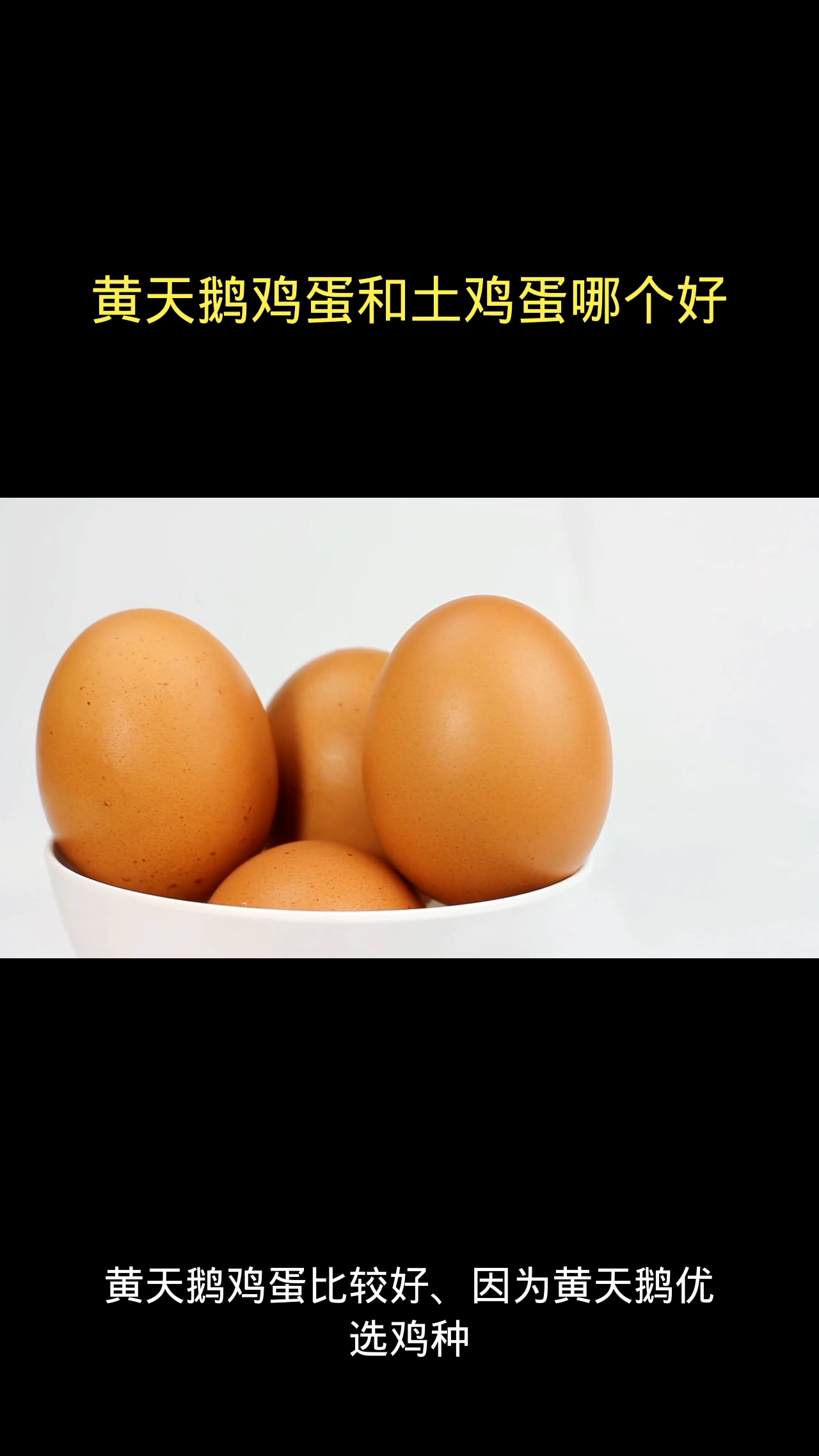 黄天鹅鸡蛋和土鸡蛋哪个好?