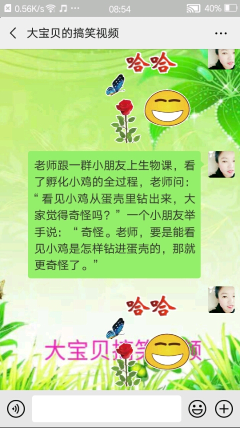 孵化小鸡的过程