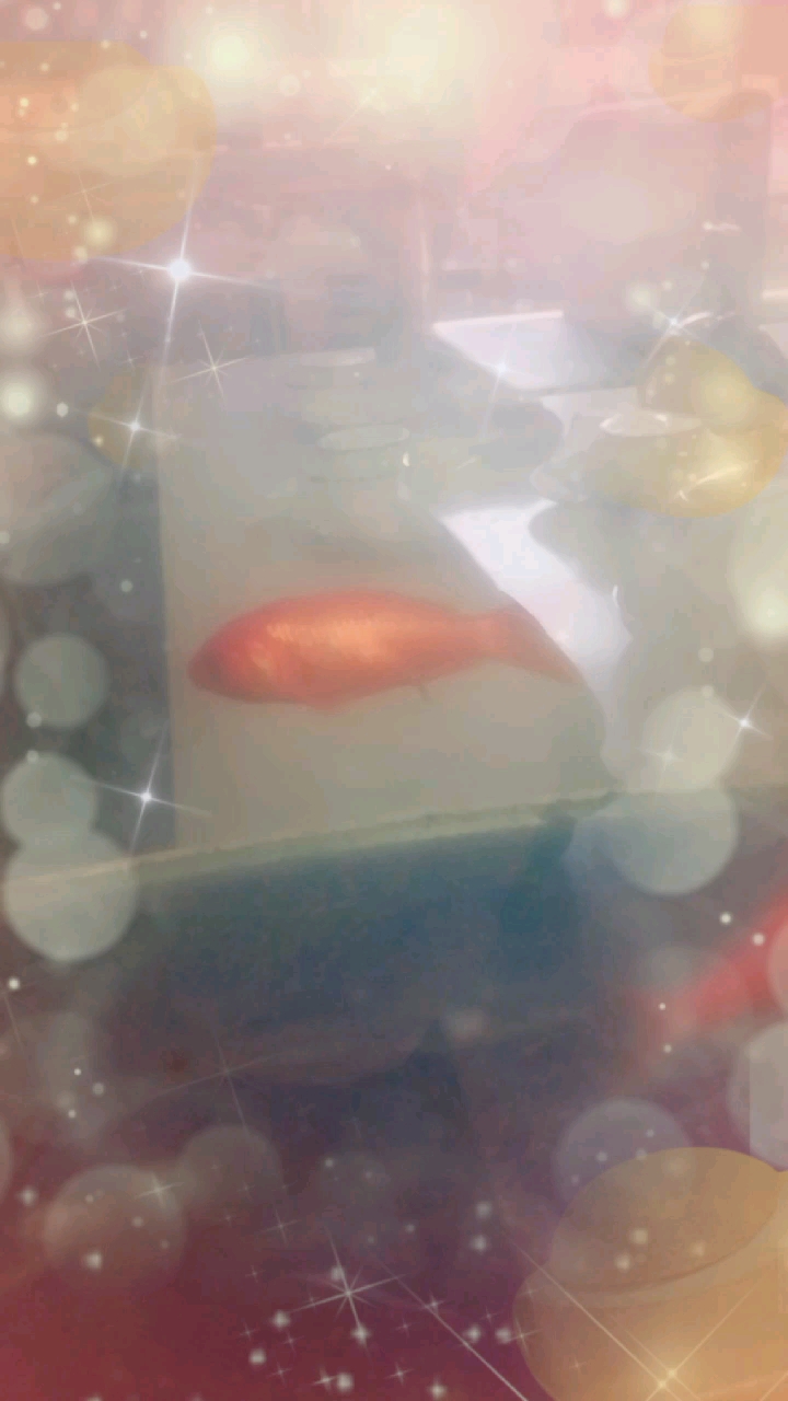 #迎新年测好运#祝大家年年有余