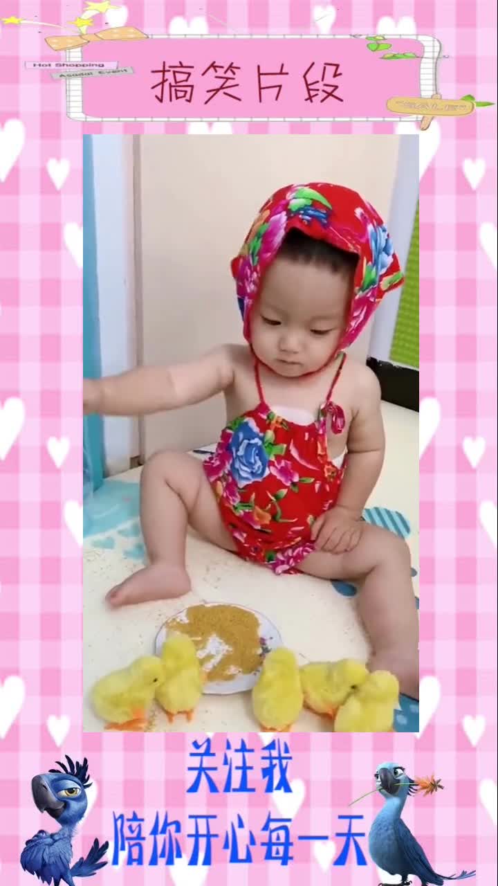 小鸡长不大,不拉不尿讲卫生,宝宝能玩一下午!,搞笑视频