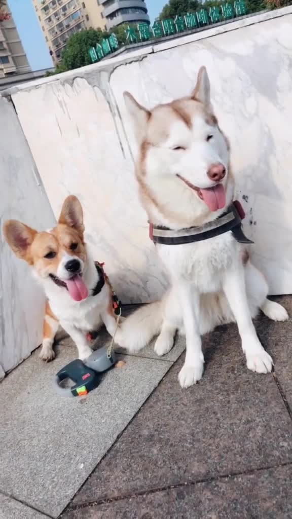 我跟你们玩的不是同一款游戏!谢谢不跟你们飙车!希望你们自己自觉一点,别总拉我玩游戏。嗯,忽