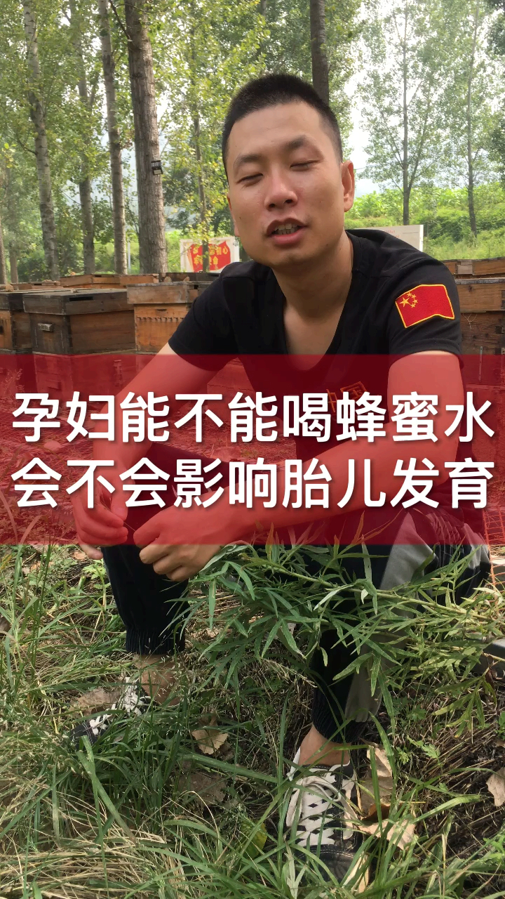 孕妇能不能吃蜂蜜,会不会影响胎儿发育?
