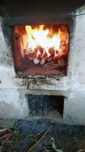 #音为有你#地锅炖大鹅,有想吃的没来