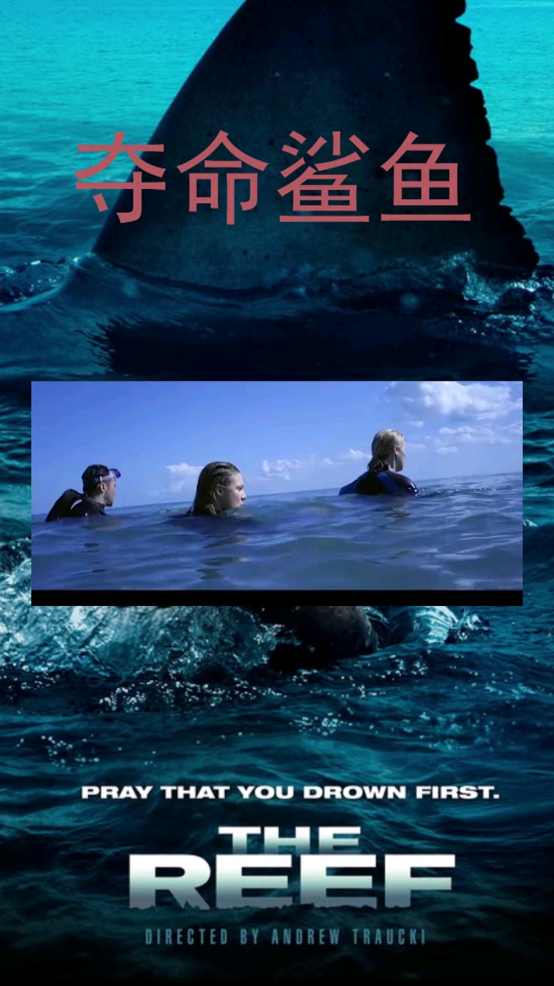 这鲨鱼也太残忍了吧!失去一条腿都保不住命,太难受了!