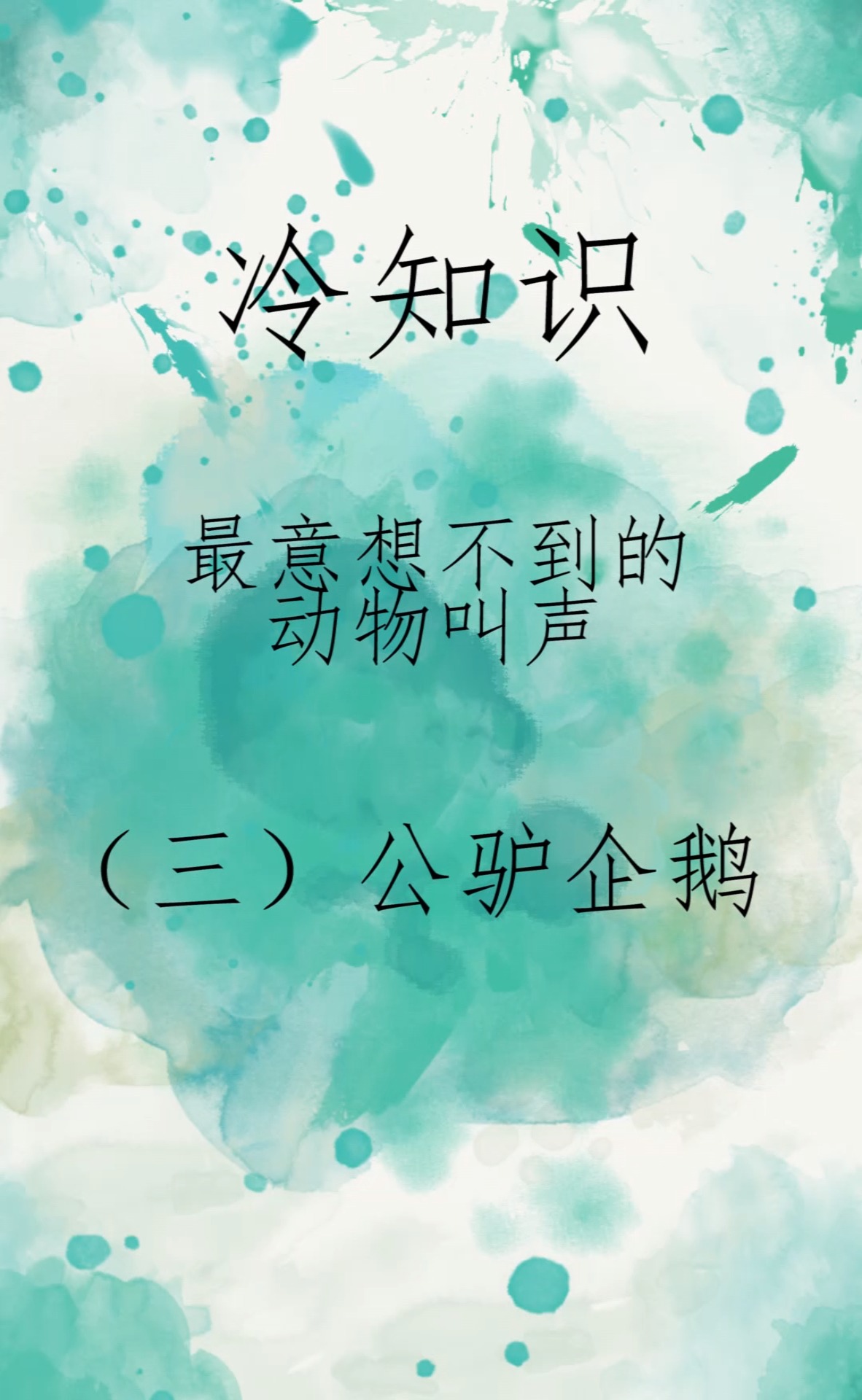 最意想不到的动物叫声