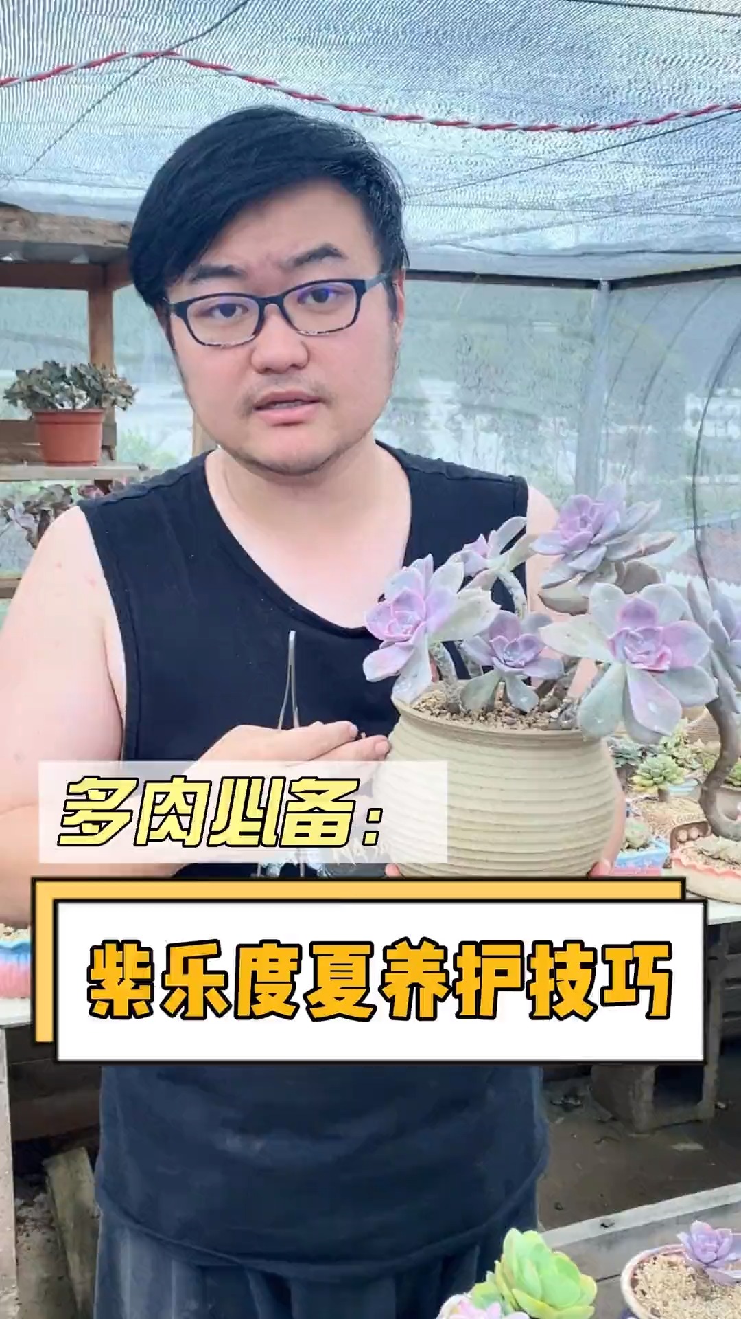 #有一种可爱叫多肉!#夏季要如何让养护紫乐呢?这个视频告诉你#多肉 #多肉植物#多肉养护
