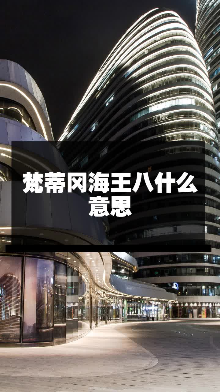 梵蒂冈海王八什么意思