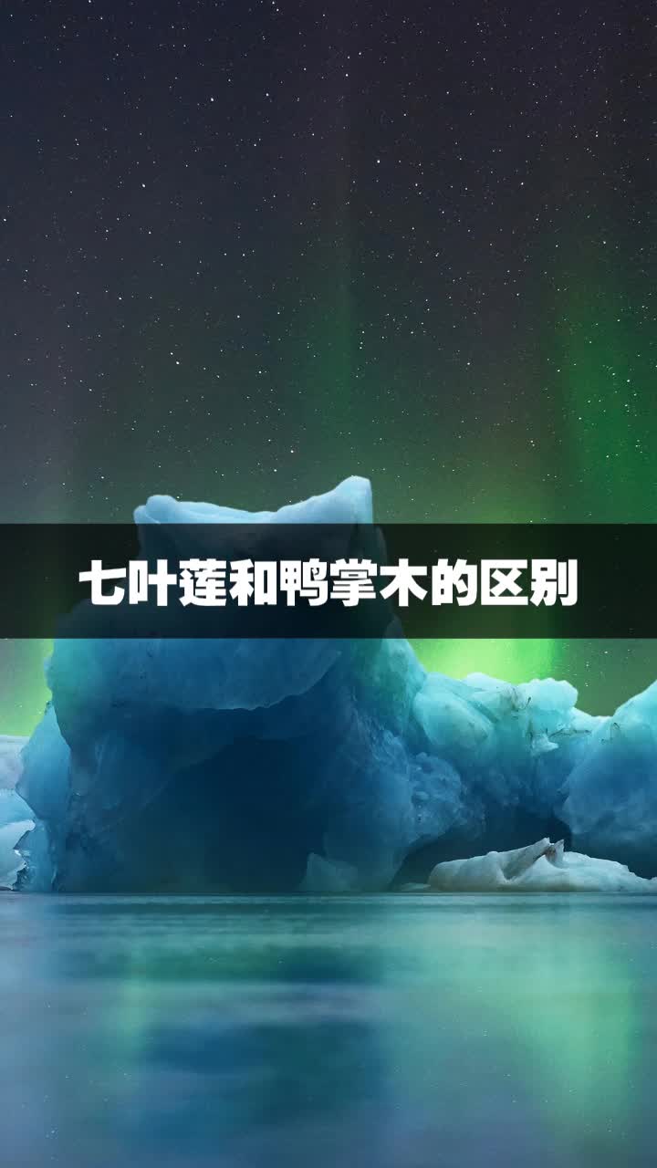 七叶莲和鸭掌木的区别
