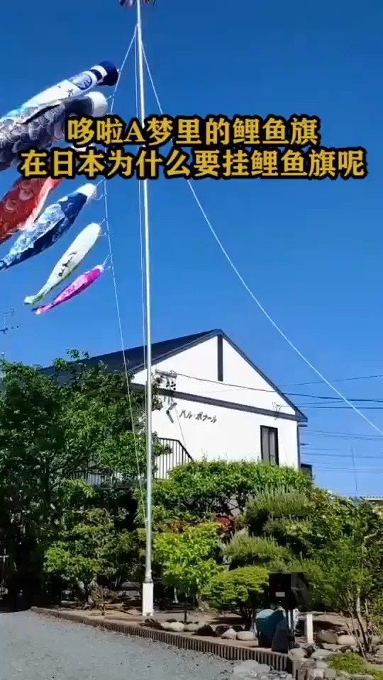 多啦A梦里的鲤鱼旗在日本为什么要挂鲤鱼旗呢