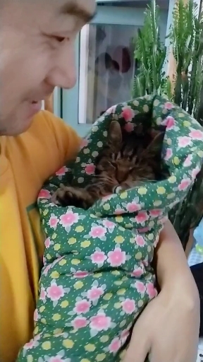萌萌的小胖子