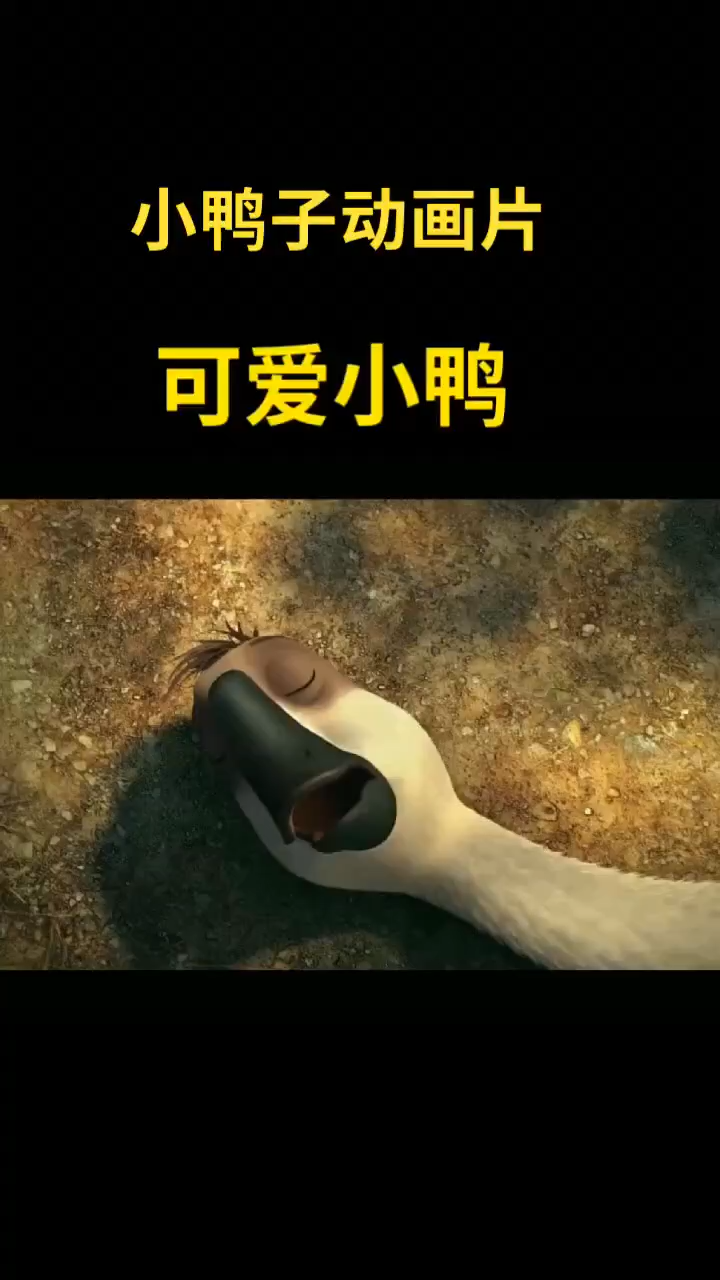小鸭子动画片  
