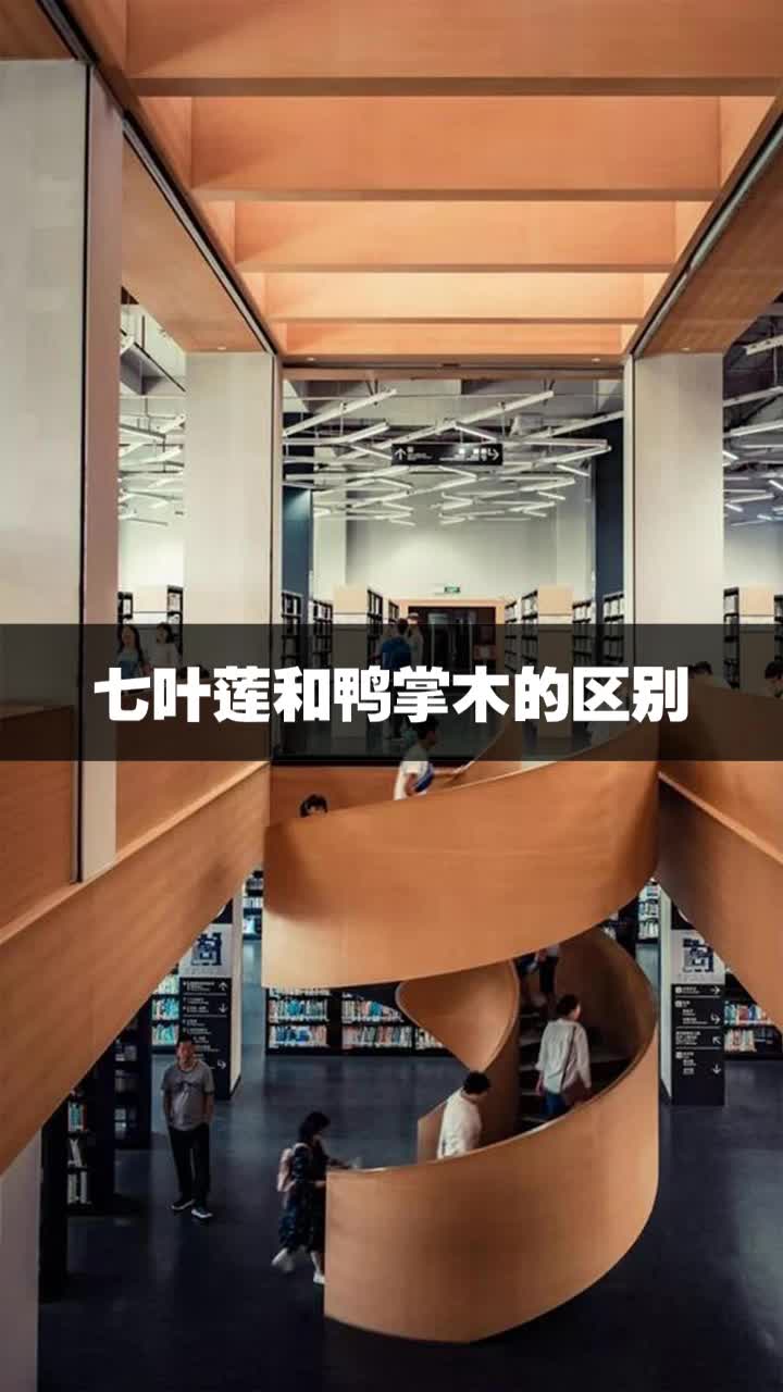 七叶莲和鸭掌木的区别