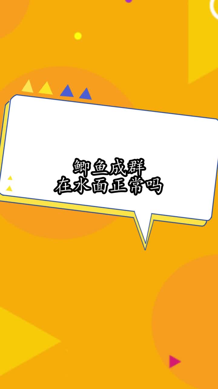 鲫鱼成群在水面正常吗,你清楚了吗