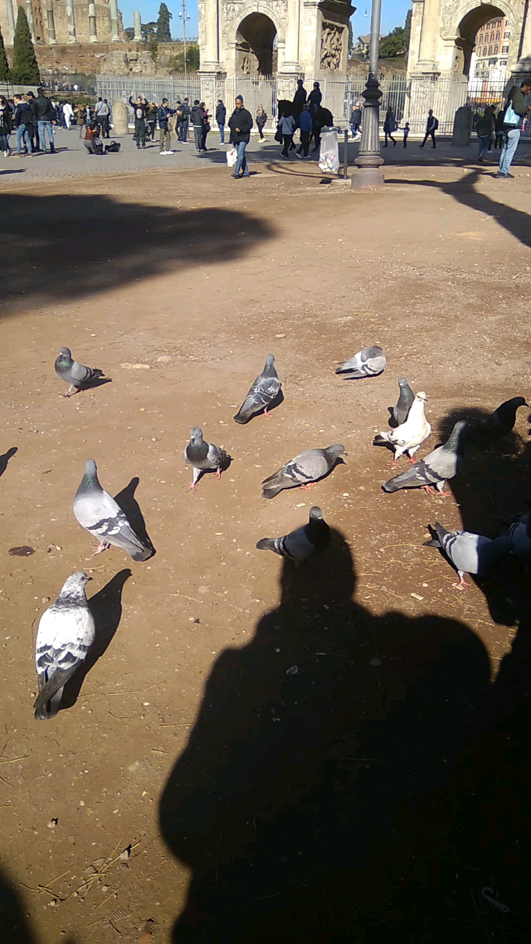 意大利古罗马斗兽场。。。