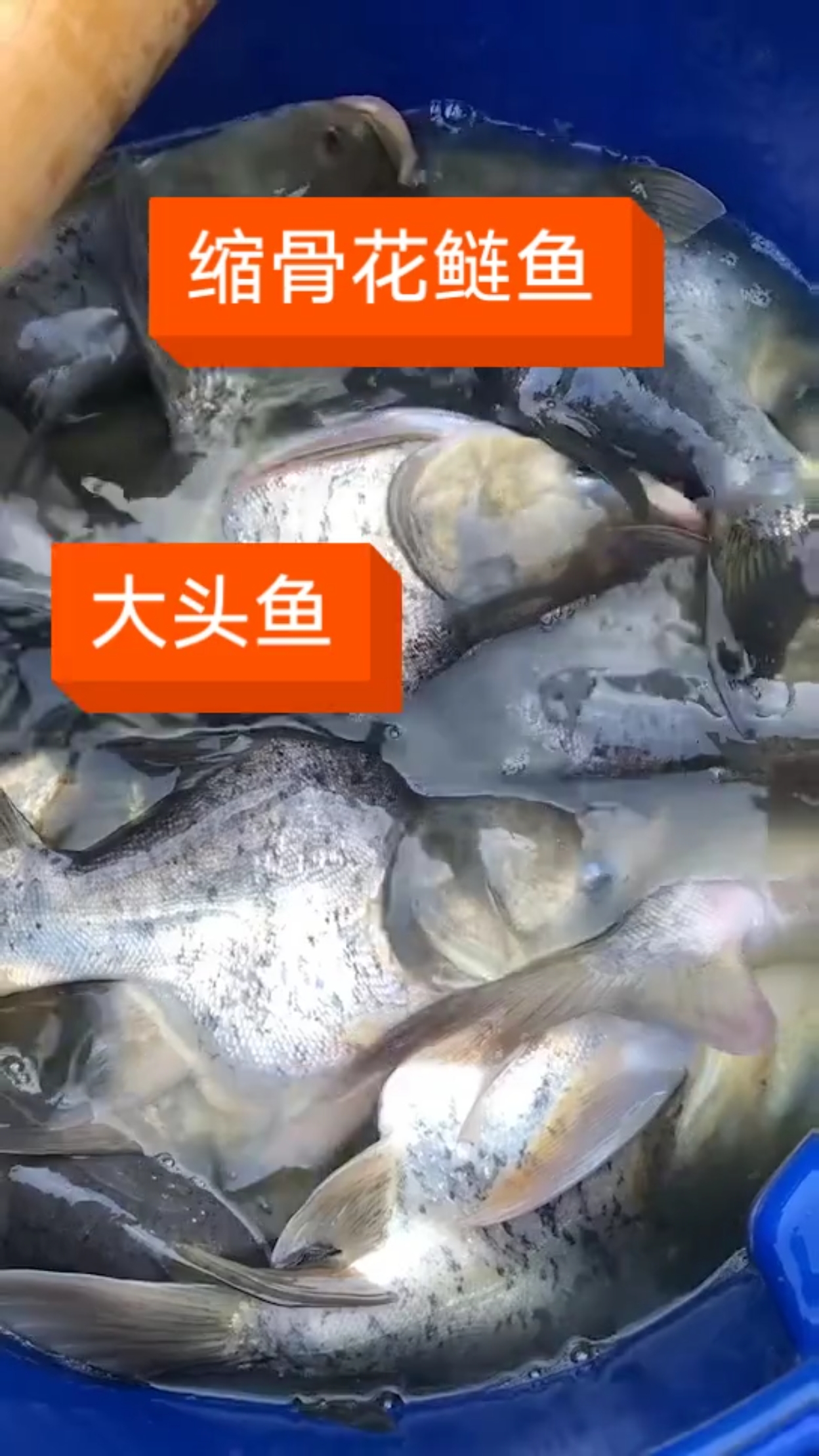 不看不看   后悔了吧???!
