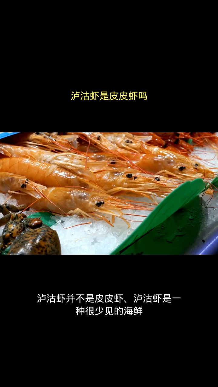 泸沽虾是皮皮虾吗?