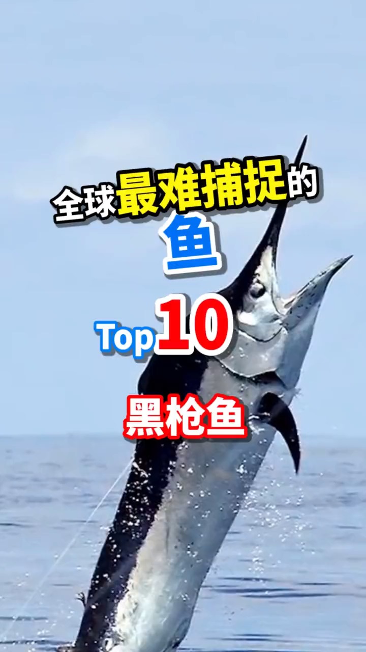 世界上最难钓的大鱼Top10一不小心就送命
