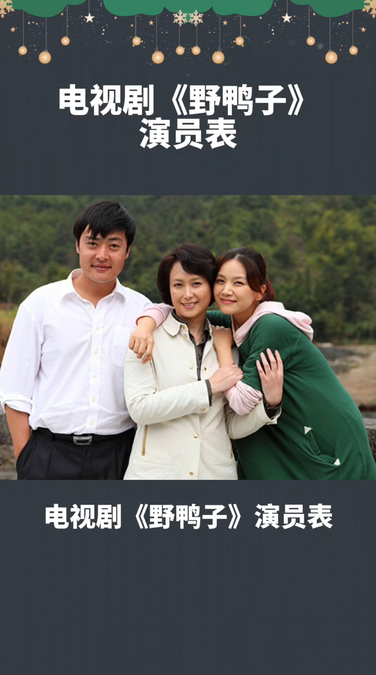 电视剧《野鸭子》演员表