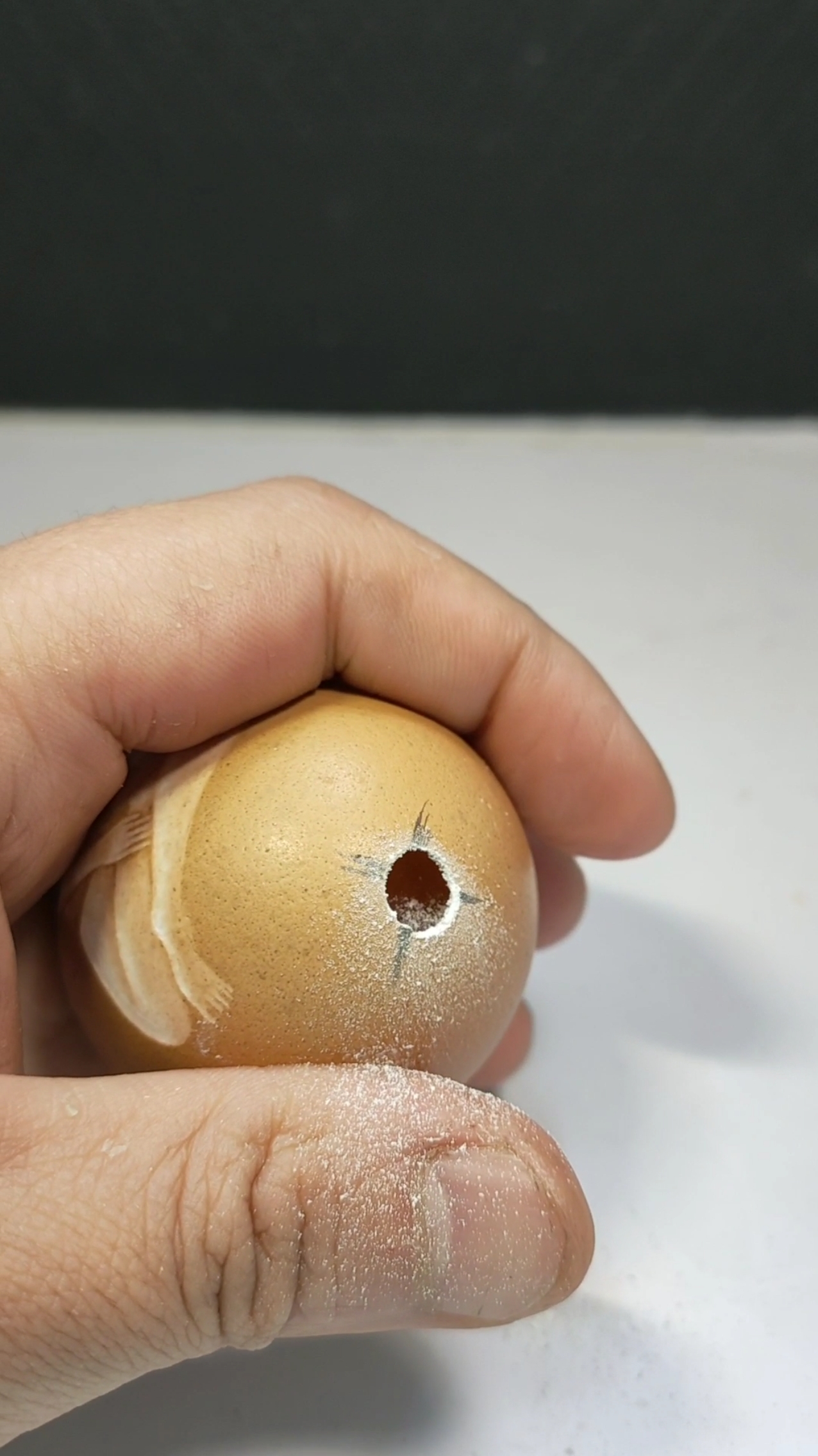 鸡蛋壳可以做成工艺品,震惊世界