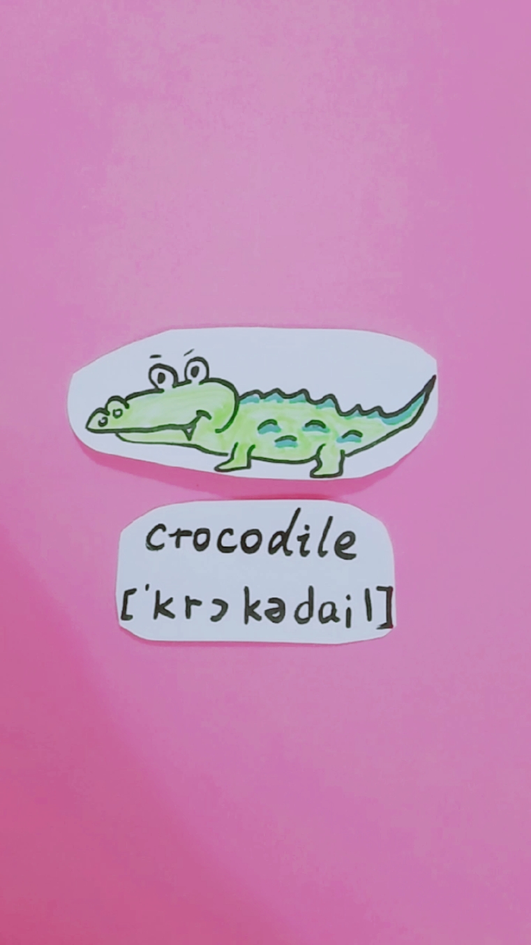 一年级英语单词拼读发音读音简笔画鳄鱼crocodile幼小衔接