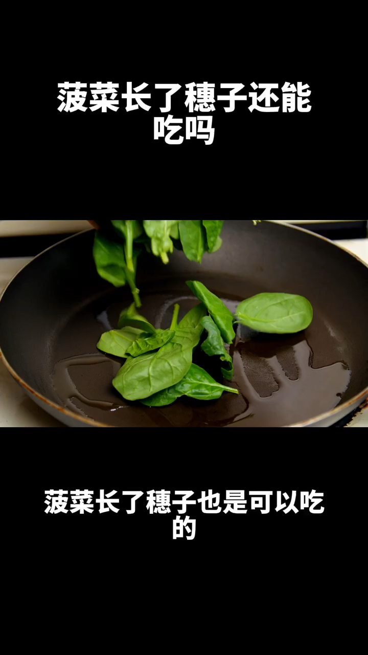 菠菜长了穗子还能吃吗