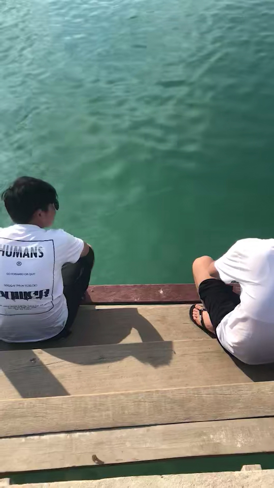 海里的鱼儿