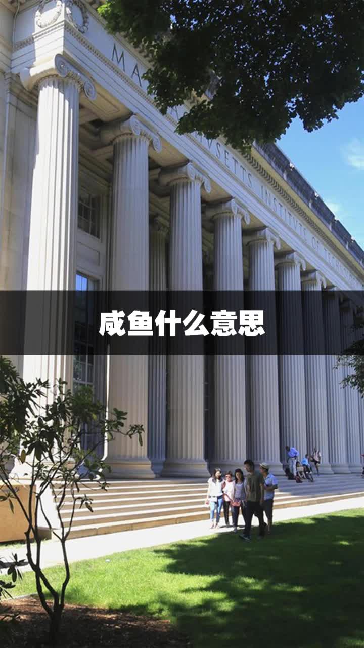咸鱼什么意思