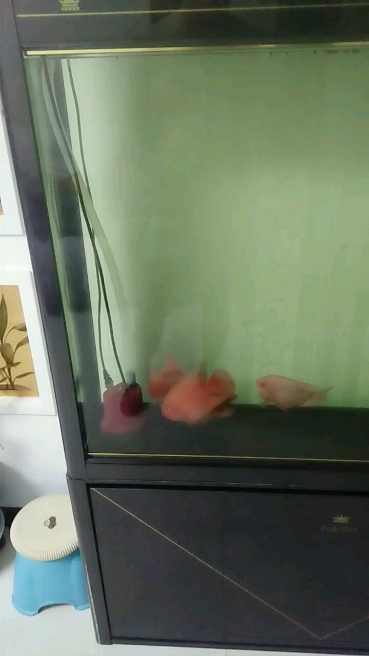 分享视频