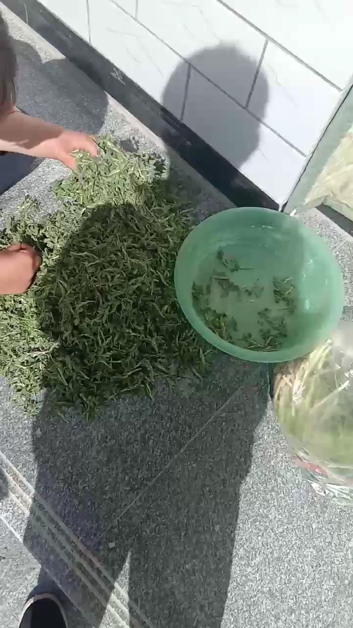 野菜。