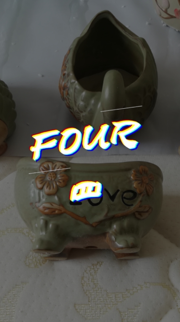 可爱的多肉花盆