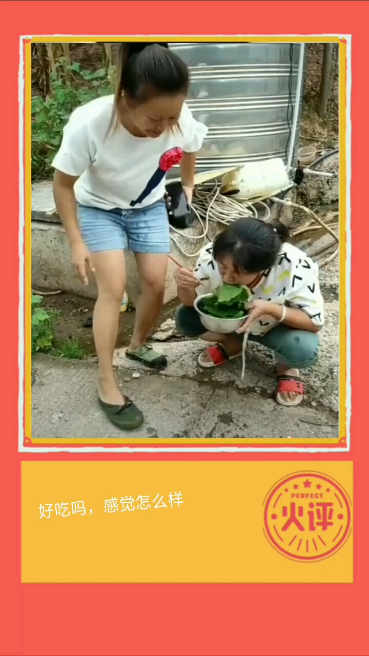 上有天天好开心!