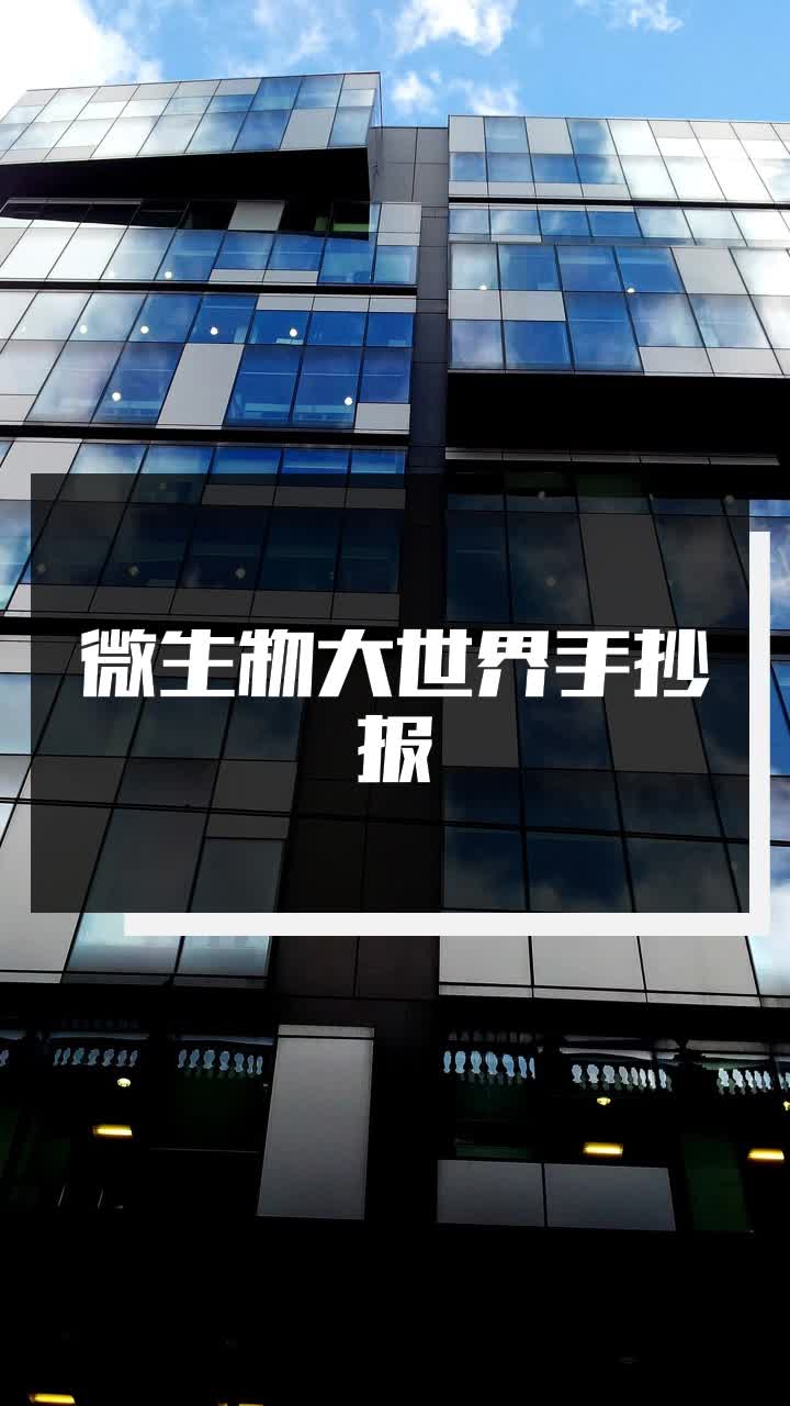 微生物大世界手抄报