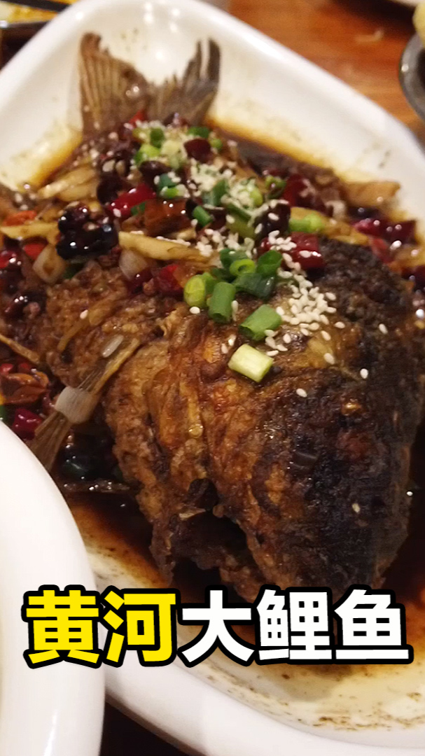#美食探店#河南美食博主请客,吃特色开封菜,南京小哥第一次吃到黄河大鲤鱼