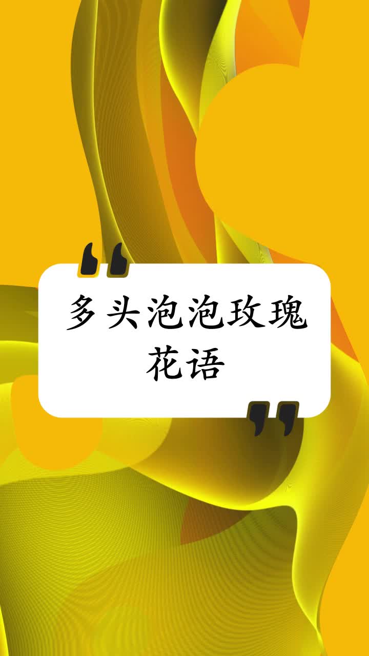 多头泡泡玫瑰花语