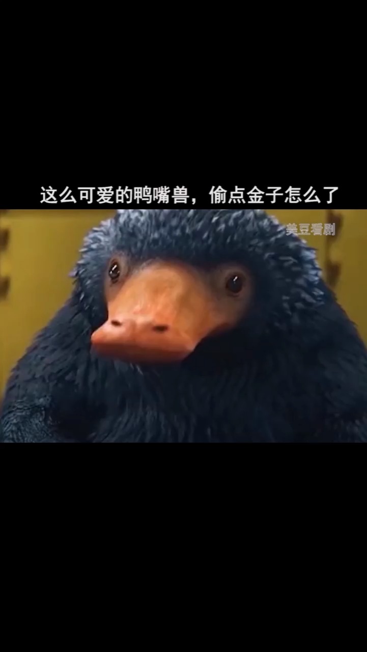 这么可爱的鸭嘴兽,偷点金子又怎么样了!