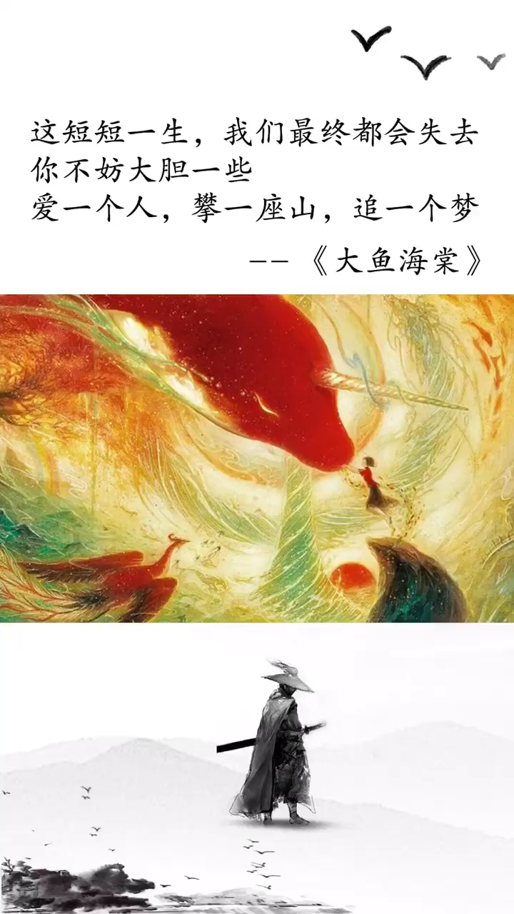 撞上了一个人,叫爱情 撞上了一辆车,叫车祸 可惜啊车与车总是相撞 人与人总是避让