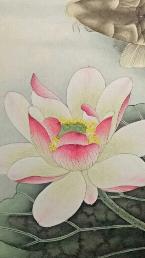 #寻找最牛手艺人#这个荷花反叶画的还算满意…工笔画荷花鱼