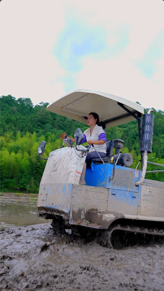 #土豆饼#手把青秧插野田，低头便见水中天，六根清净方为稻，退步原来是向前。