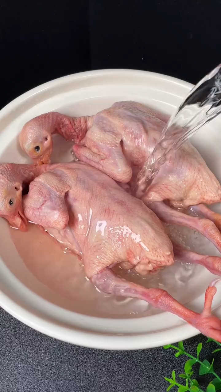 家里有老公的,每个月那几天都要煲这个鸽子汤给他,汤鲜味浓,做法简单,鸽子汤