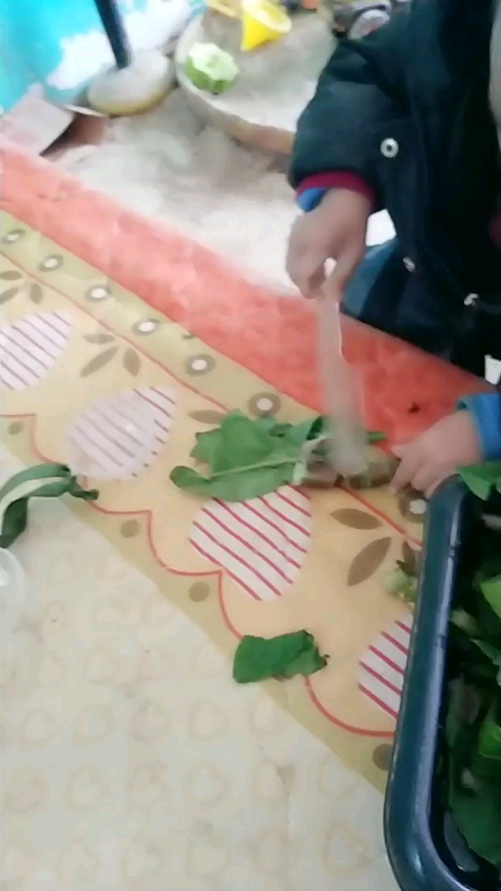 小家伙切菜了